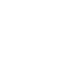 ANO 2011